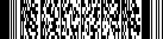 Programul PDF417 barcode example